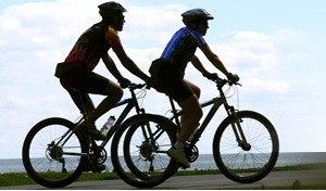 Bicycles Instead of Cars